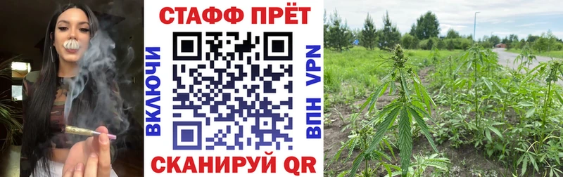 Купить наркоту Елец Альфа ПВП  Меф  ГАШ  АМФЕТАМИН  Псилоцибиновые грибы  Кокаин 