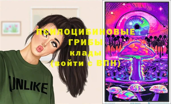 не бодяженный Алзамай
