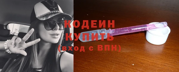дживик Долгопрудный