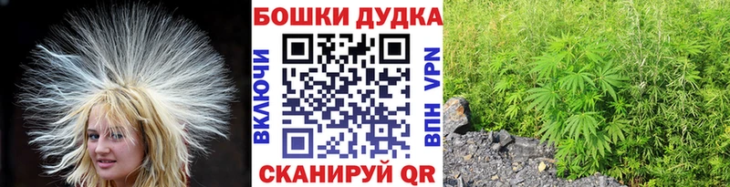 что такое   Елец  Бошки Шишки тримм 